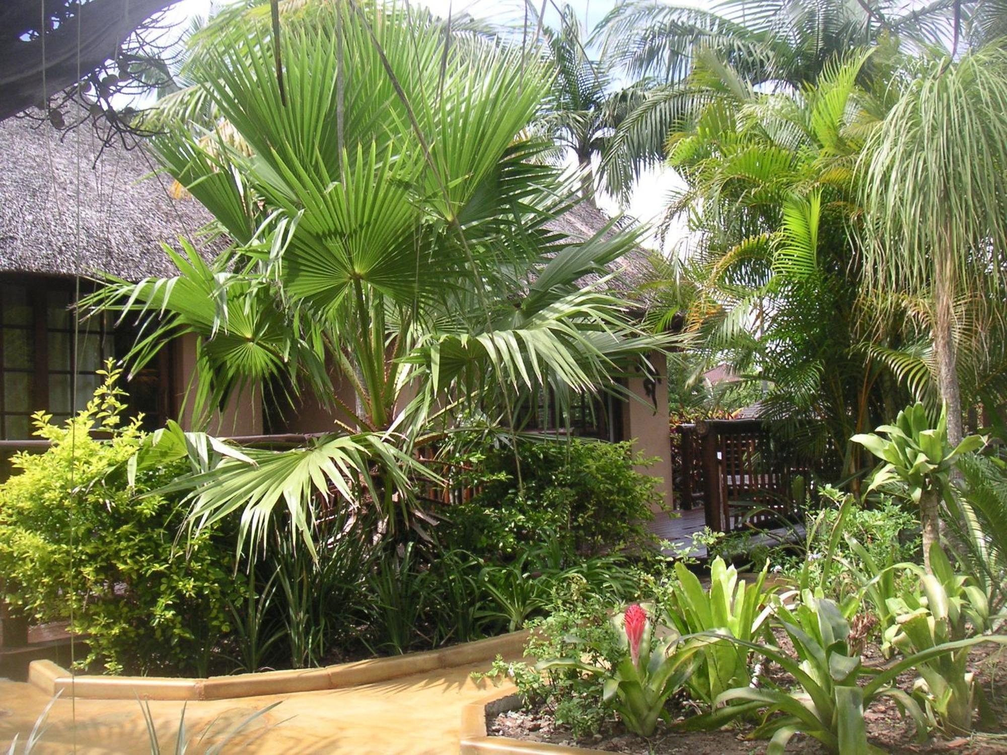 Afrikhaya Guest House Saint Lucia Estuary Eksteriør bilde